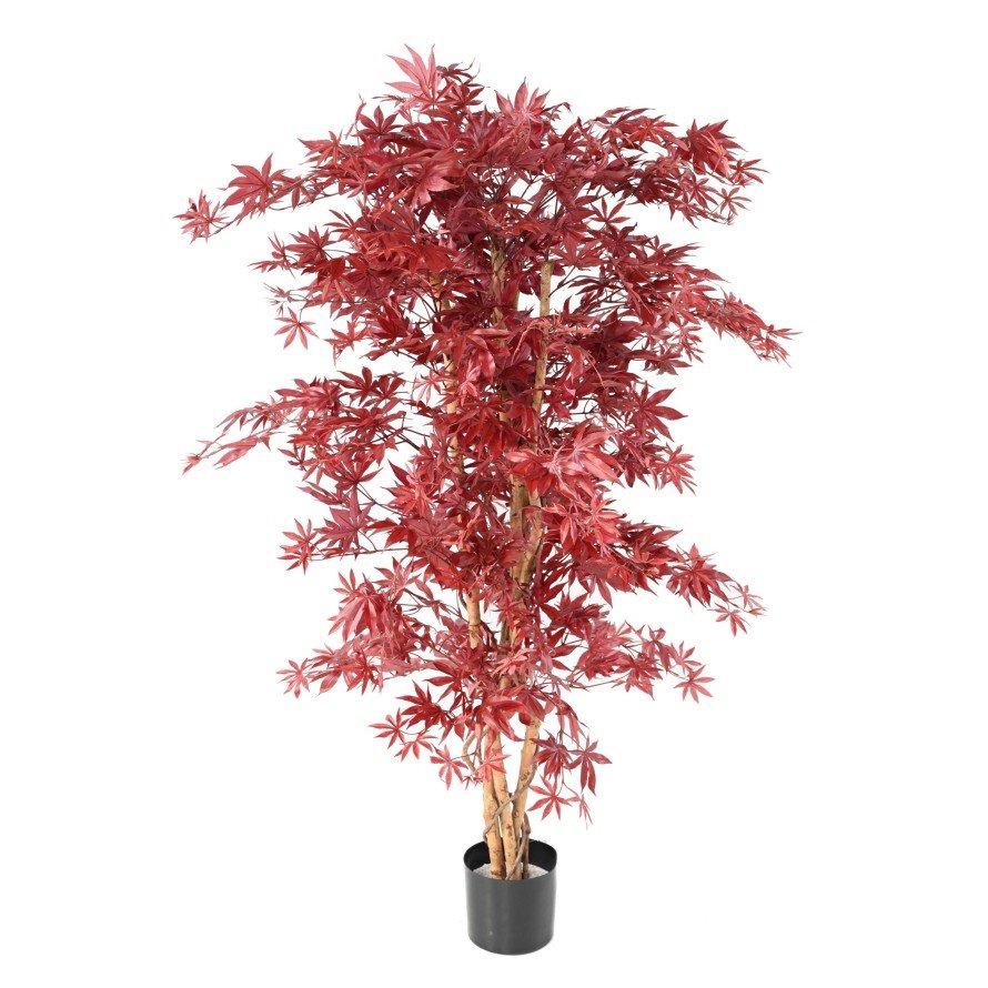 Aralia artificiel NEW (érable) - Feuillus - Green Fire 57
