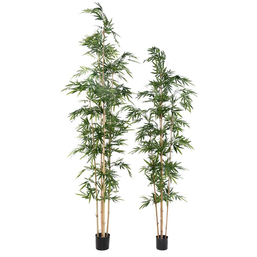 Bambou asymétrique artificiel - Bambous - Green Fire 57