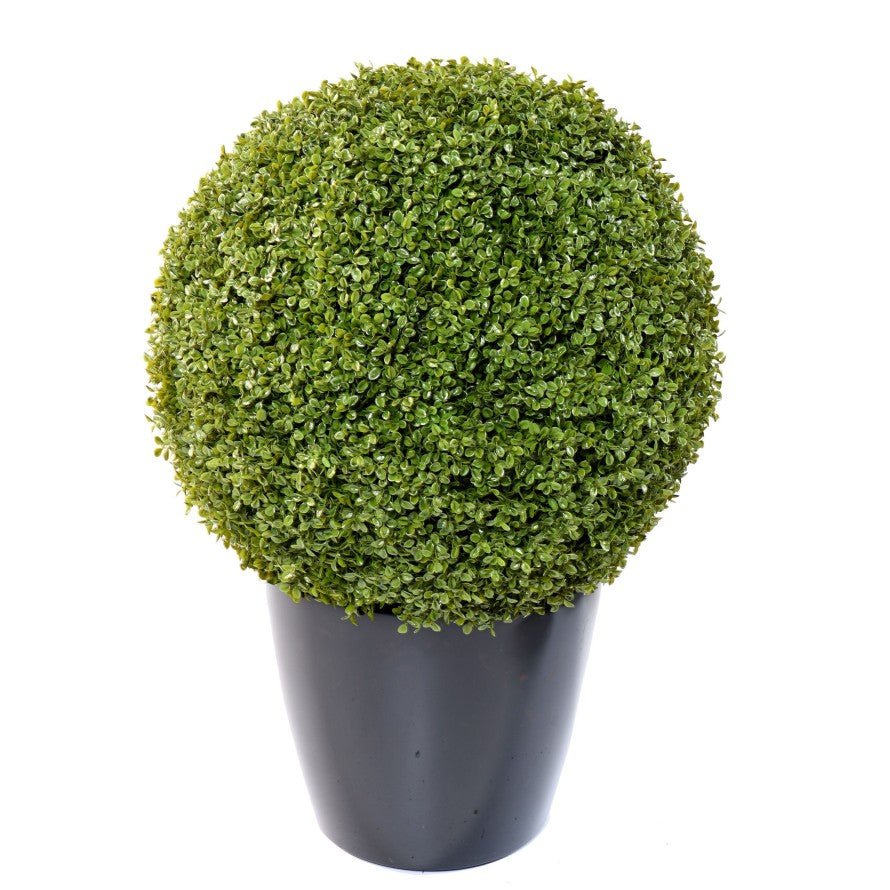 Buis Boule STK - TOPIAIRES - Green Fire 57