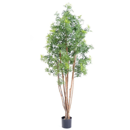 Aralia artificiel ming NITIDA - Feuillus - Green Fire 57