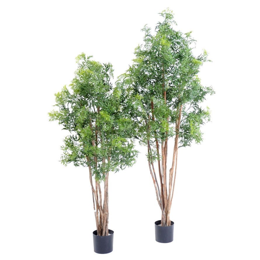 Aralia artificiel ming NITIDA - Feuillus - Green Fire 57