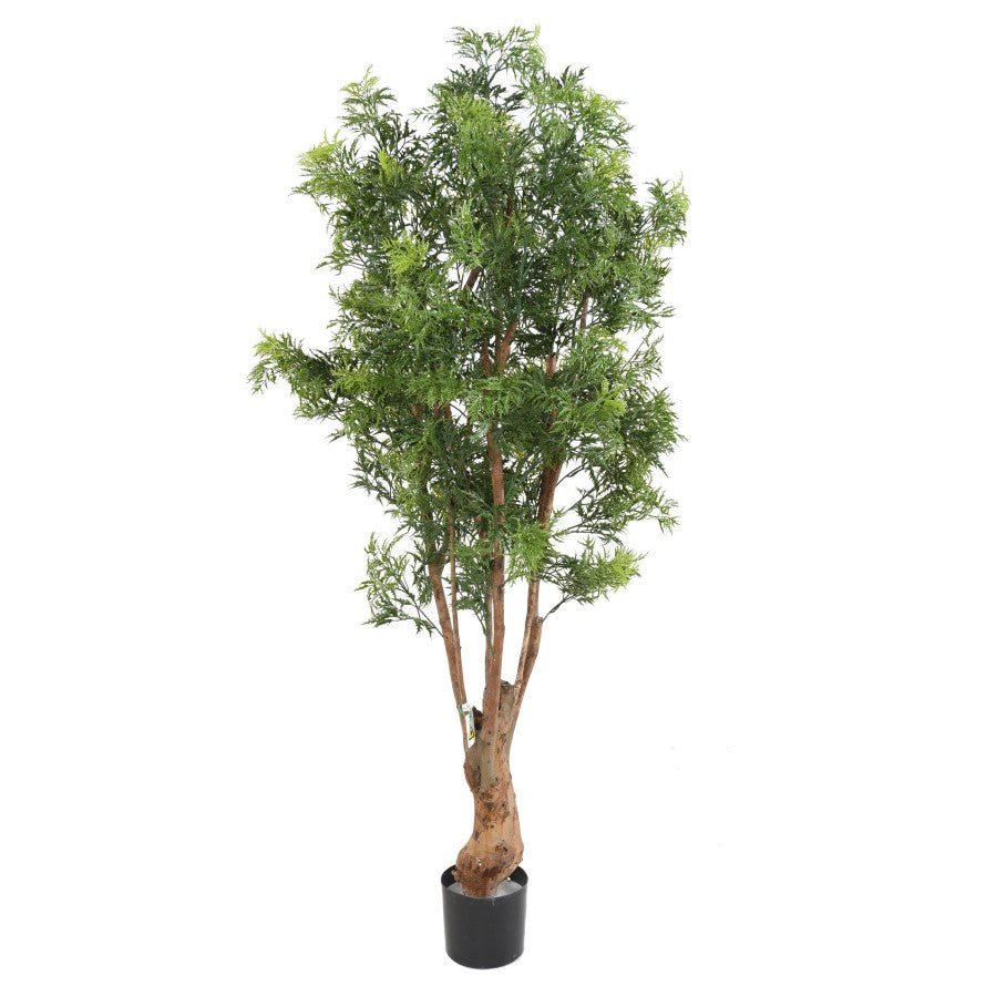 Aralia artificiel ming NITIDA TN UV - Feuillus - Green Fire 57