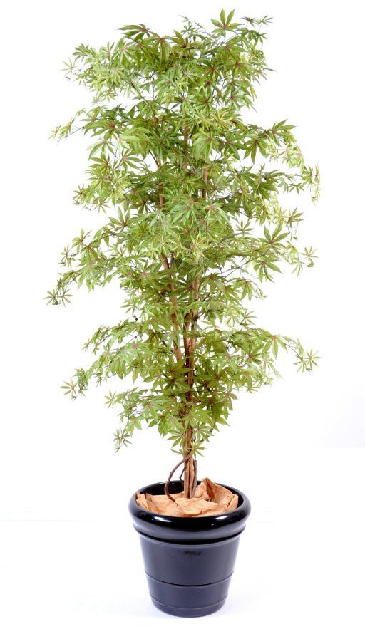 Aralia artificiel NEW (érable) - Feuillus - Green Fire 57