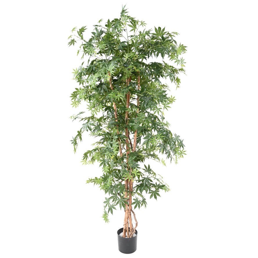 Aralia artificiel NEW (érable) - Feuillus - Green Fire 57