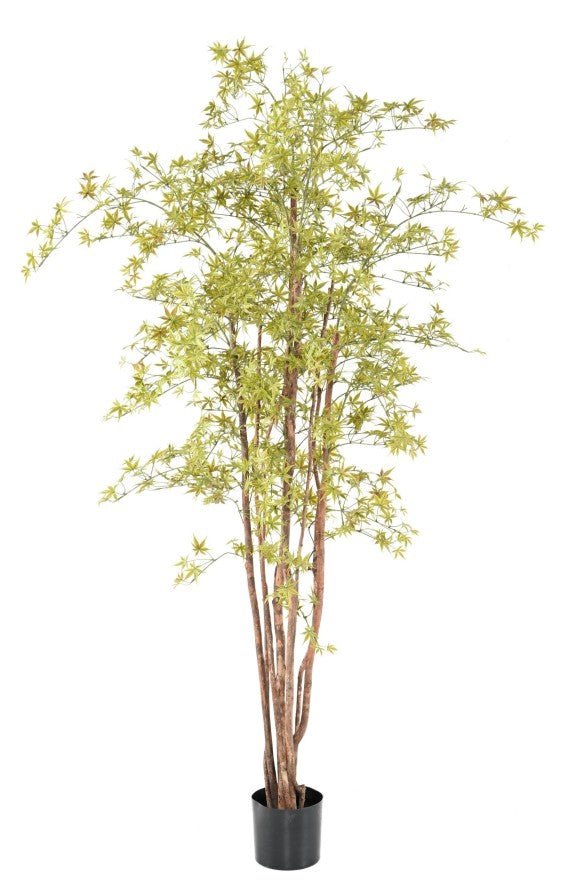 Aralia artificiel PE UV - Feuillus - Green Fire 57