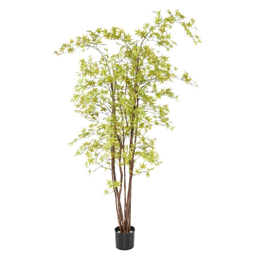 Aralia artificiel PE UV - Feuillus - Green Fire 57