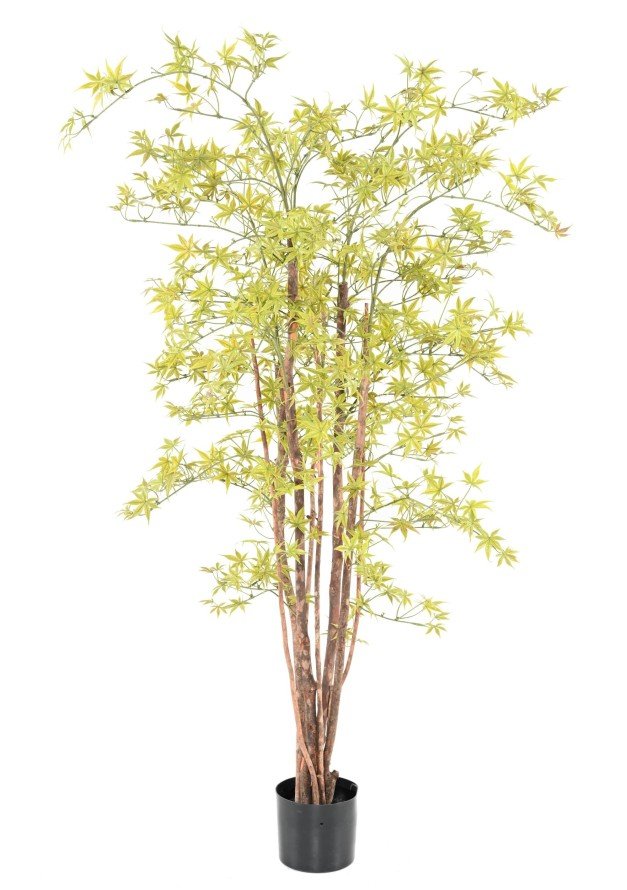 Aralia artificiel PE UV - Feuillus - Green Fire 57