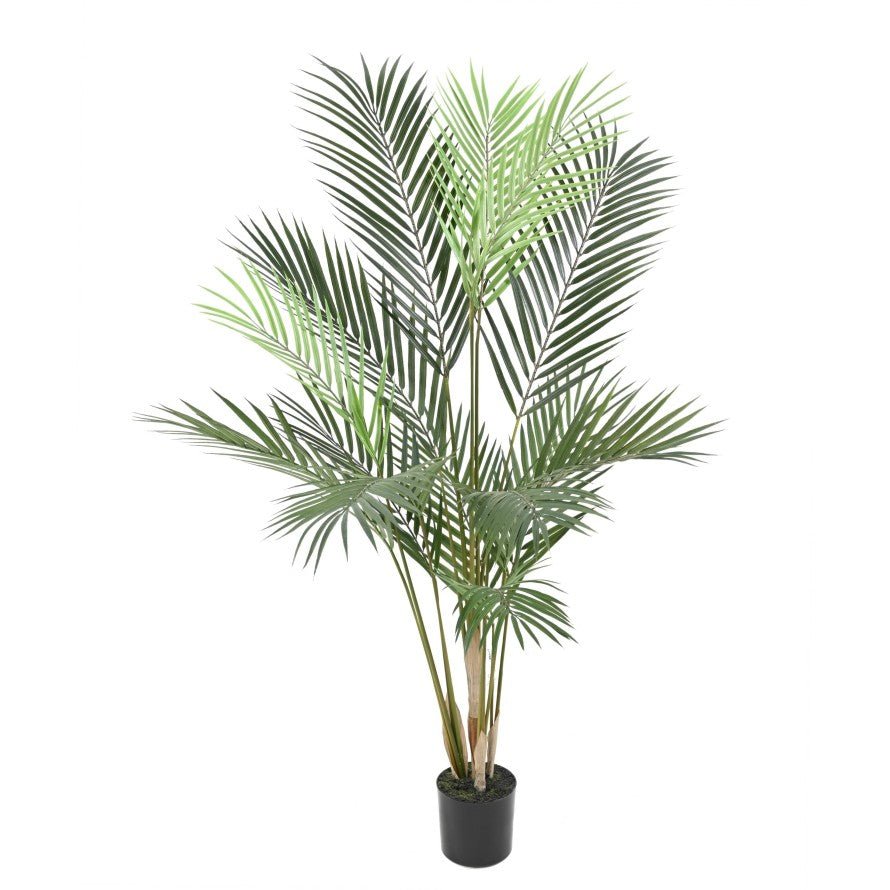 ARECA plast artificiel - PLANTES ARTIFICIELLES - Green Fire 57