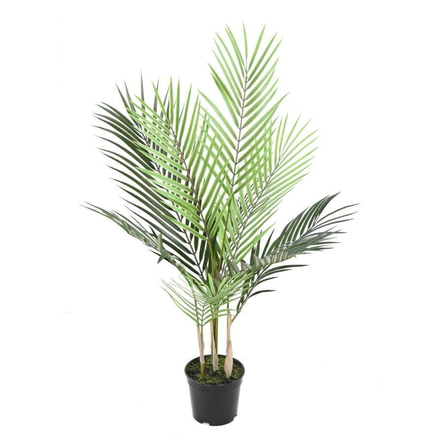 ARECA plast artificiel - PLANTES ARTIFICIELLES - Green Fire 57