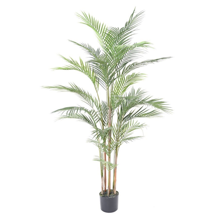 ARECA plast artificiel - PLANTES ARTIFICIELLES - Green Fire 57