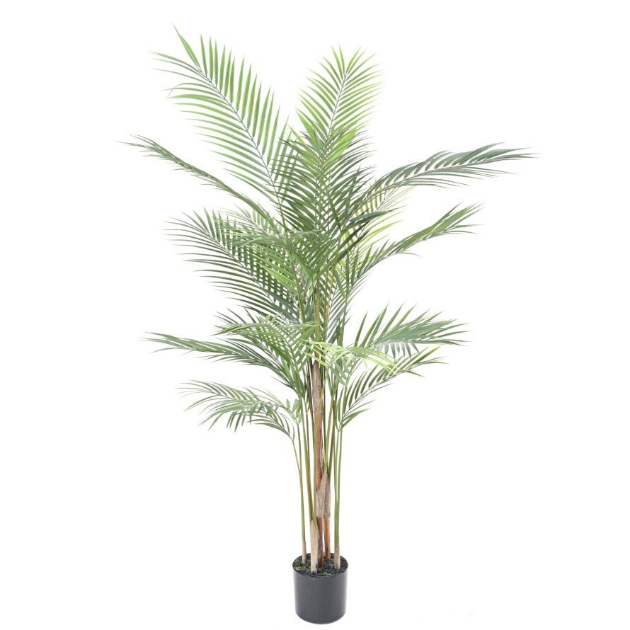 ARECA plast artificiel - PLANTES ARTIFICIELLES - Green Fire 57