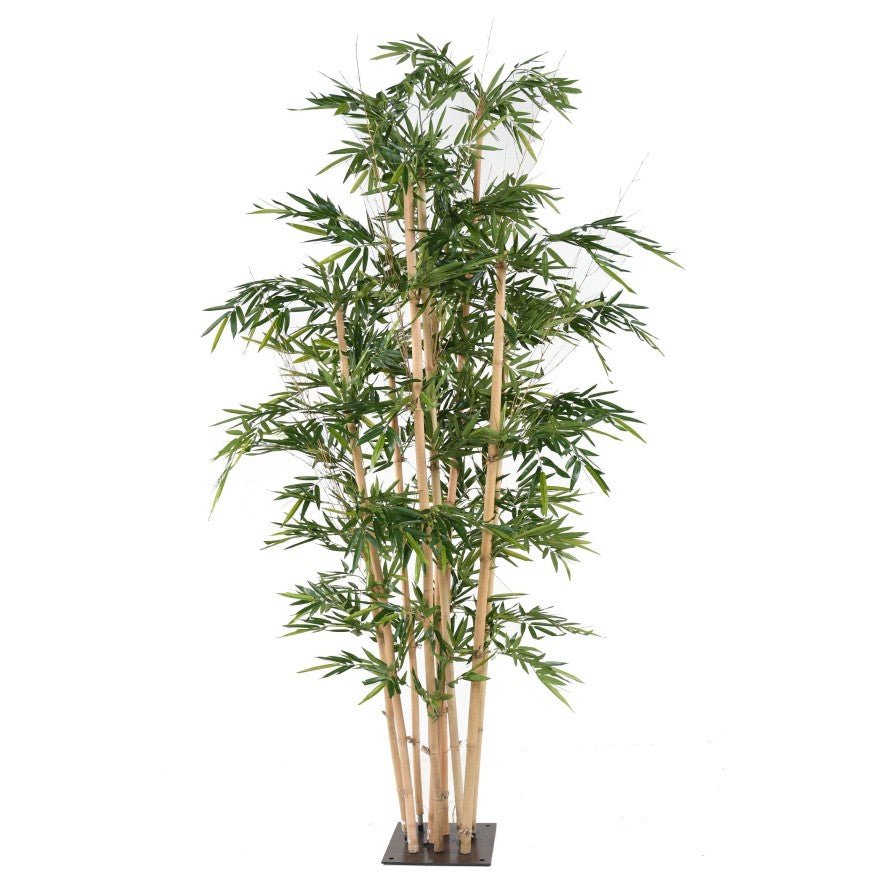 Bambou BUDDHA TREE artificiel - Bambous - Green Fire 57