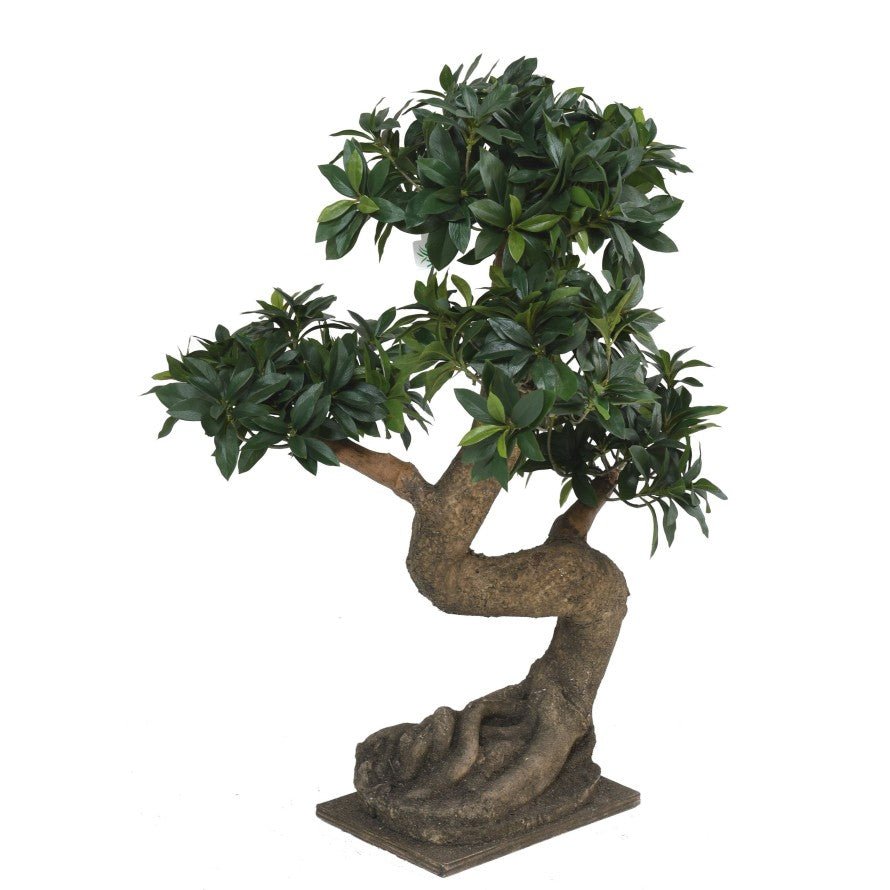 Bonsaïs EUONYMUS JAPONICUS FICUS artificiel - BONSAÏS - Green Fire 57