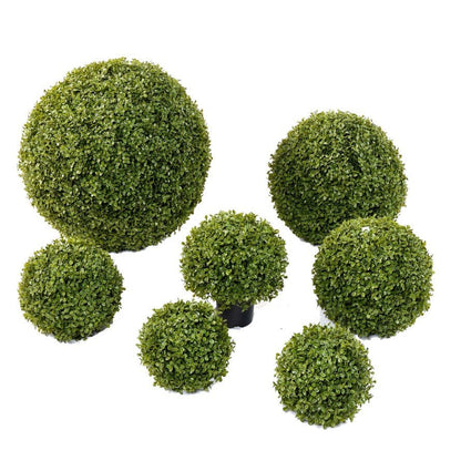 Buis Boule STK - TOPIAIRES - Green Fire 57