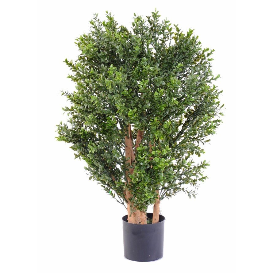 Buis New Buisson - TOPIAIRES UV RESISTANT - Green Fire 57