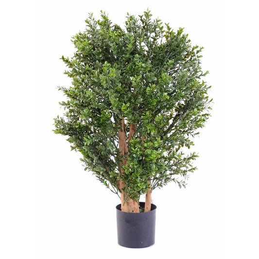 Buis New Buisson - TOPIAIRES UV RESISTANT - Green Fire 57