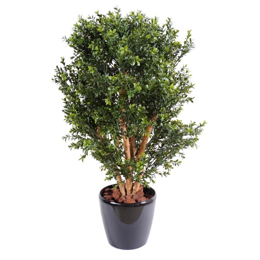 Buis New Buisson - TOPIAIRES UV RESISTANT - Green Fire 57