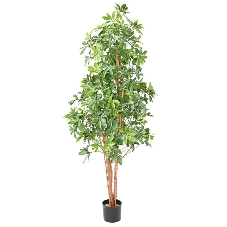 Choisya artificiel tree plast UV - Arbres et Arbustes - Green Fire 57