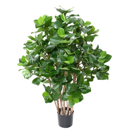 Clusia artificiel buisson - Arbres et Arbustes - Green Fire 57