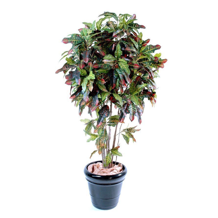 Croton artificiel - Arbres et Arbustes - Green Fire 57