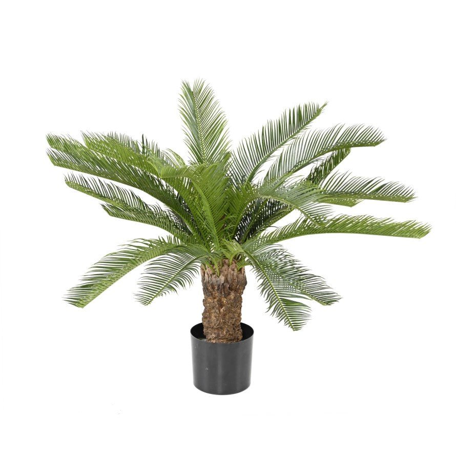 Cycas artificiel tronc - PLAMIERS, MUSACEES ET TROPIQUES - Green Fire 57