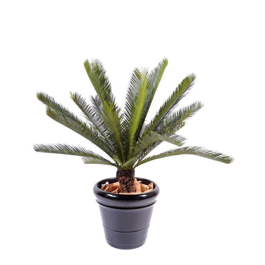 Cycas artificiel tronc - PLAMIERS, MUSACEES ET TROPIQUES - Green Fire 57