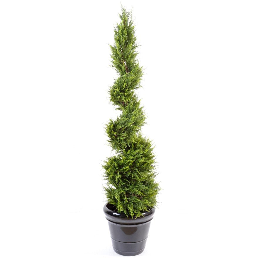 Cypres JUNIPERUS Spirale Fine - TOPIAIRES - Green Fire 57