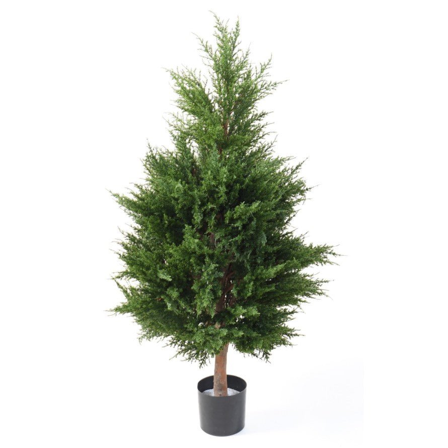 Cypres JUNIPERUS - TOPIAIRES - Green Fire 57