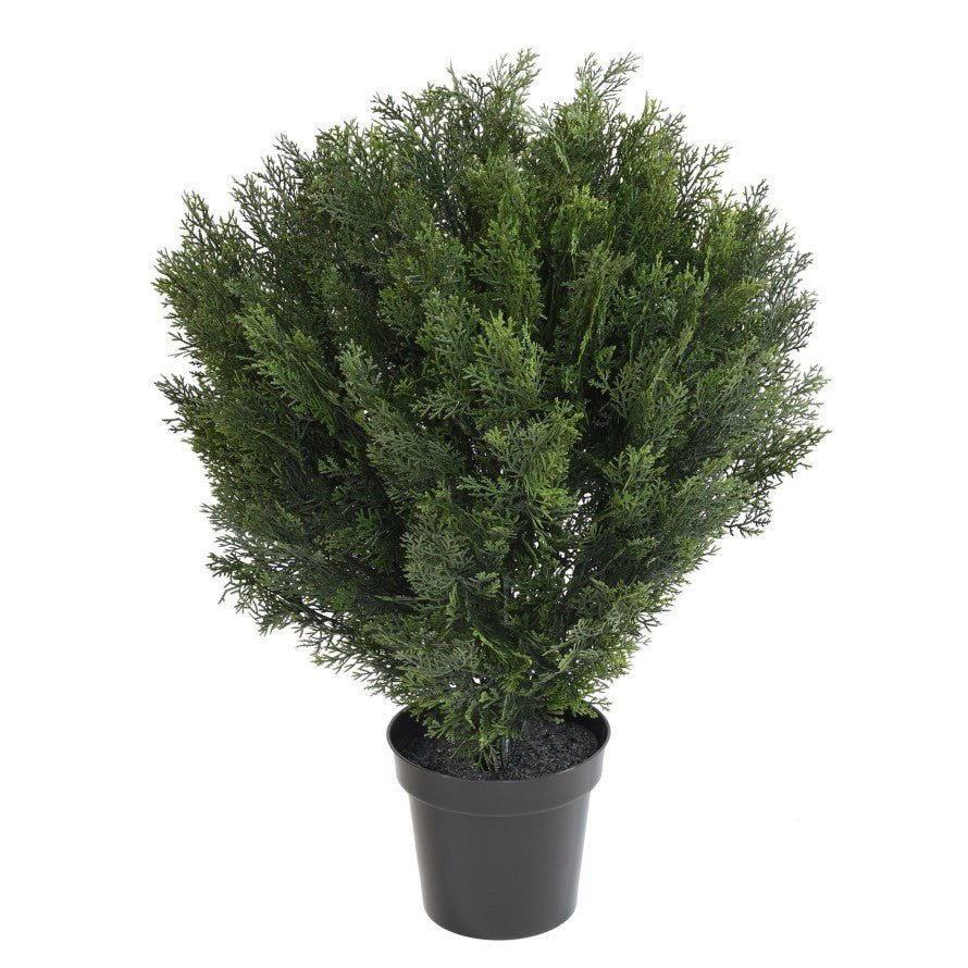 Cypres Rond Buisson - TOPIAIRES UV RESISTANT - Green Fire 57