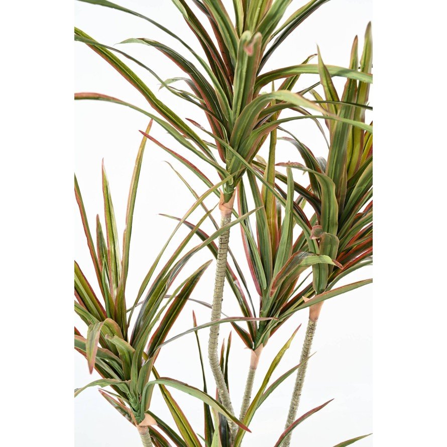 Dracaena artificiel - Arbres et Arbustes - Green Fire 57