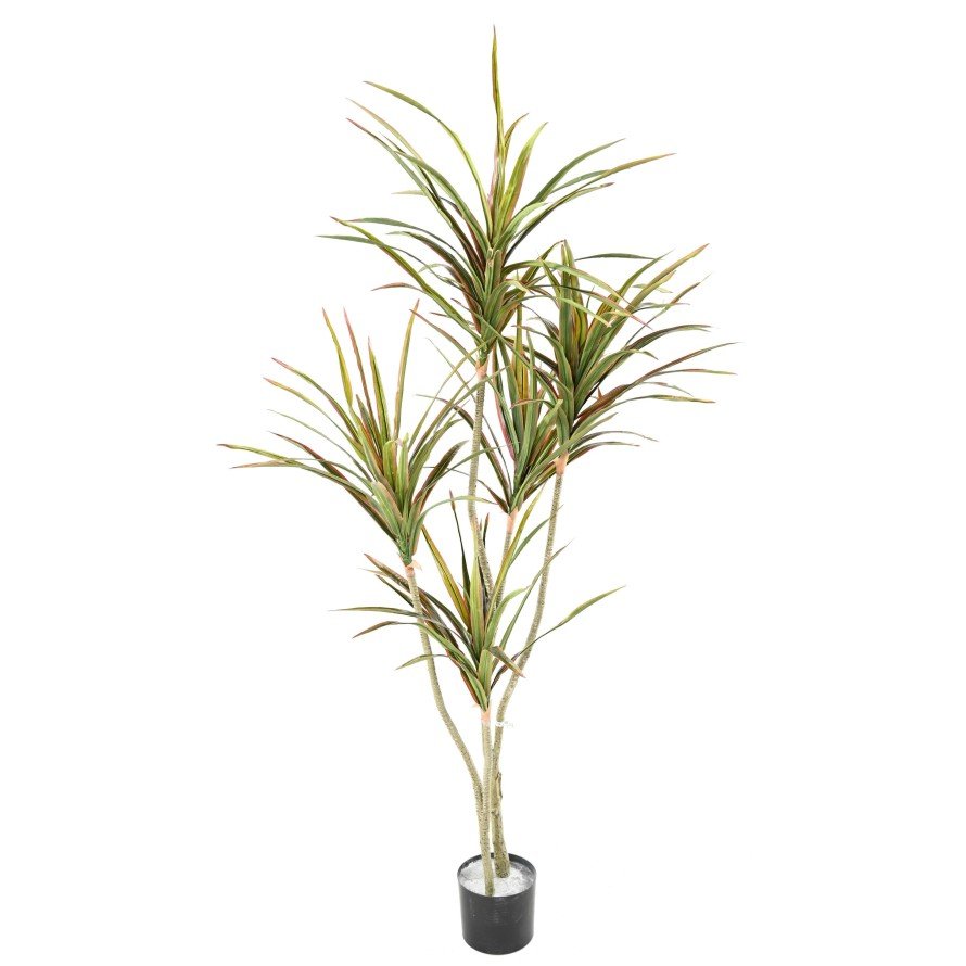 Dracaena artificiel - Arbres et Arbustes - Green Fire 57