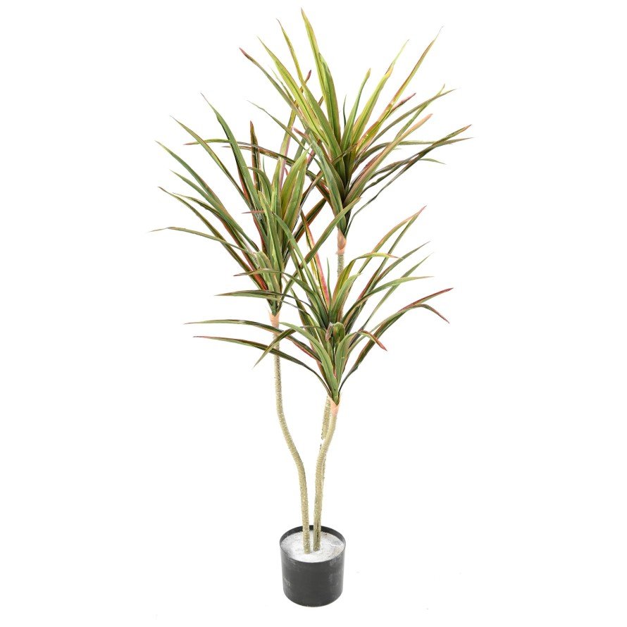 Dracaena artificiel - Arbres et Arbustes - Green Fire 57