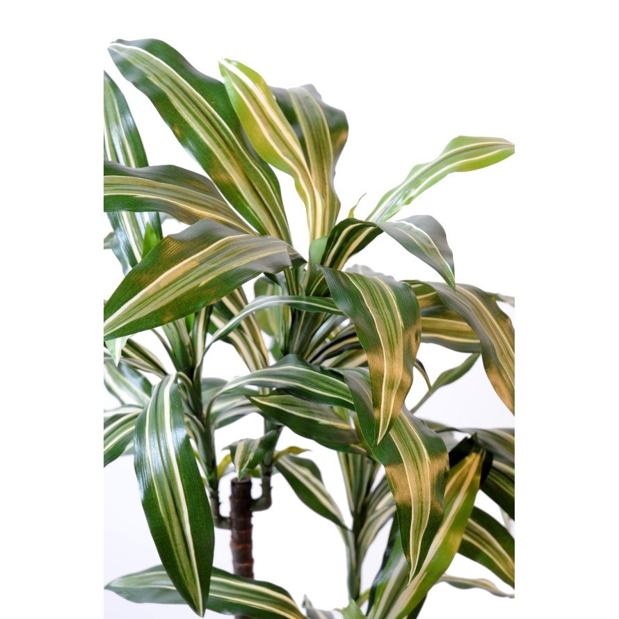 Dracaena artificiel fragrans *3 - Arbres et Arbustes - Green Fire 57