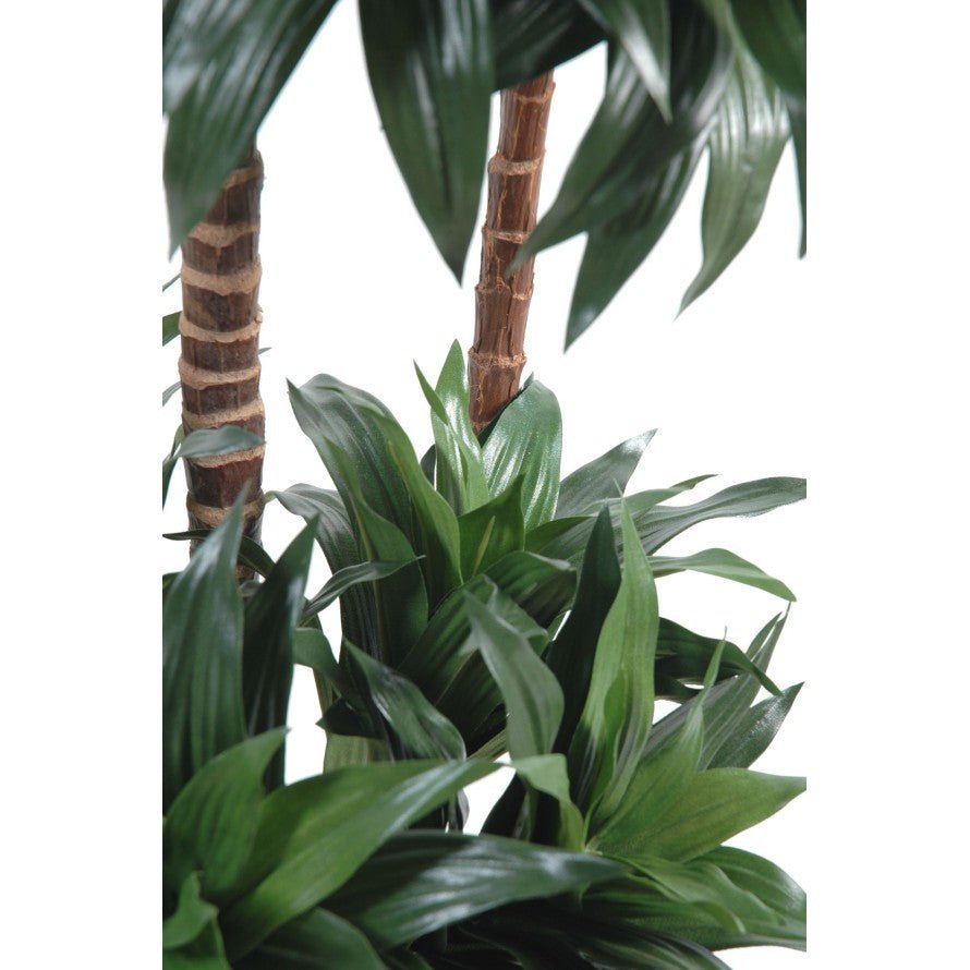 Dracaena artificiel fragrans - Arbres et Arbustes - Green Fire 57