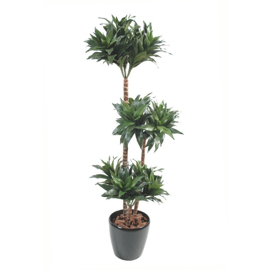 Dracaena artificiel fragrans - Arbres et Arbustes - Green Fire 57