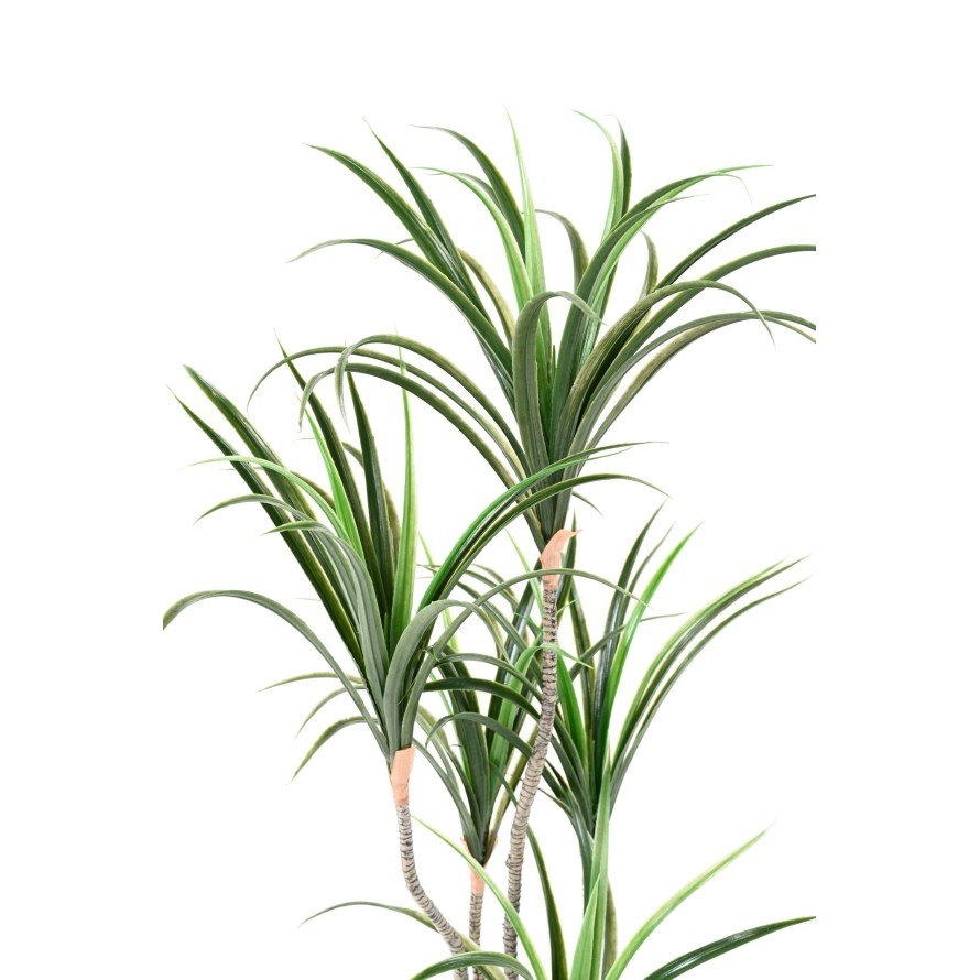 Dracaena artificiel marginata 125 - Green Fire 57