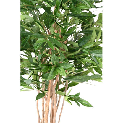 Dracaena artificiel surculosa 155 - Arbres et Arbustes - Green Fire 57