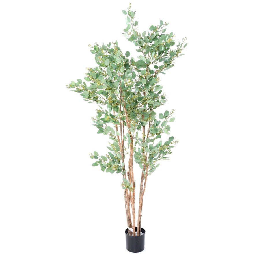 Eucalyptus artificiel baies - Arbres et Arbustes - Green Fire 57