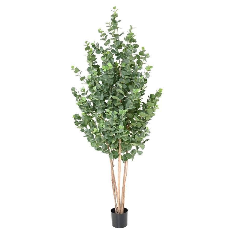 Eucalyptus artificiel gunnii buisson - Arbres et Arbustes - Green Fire 57