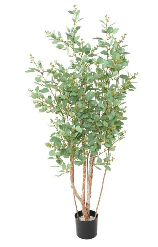 Eucalyptus artificiel tree baies - Arbres et Arbustes - Green Fire 57