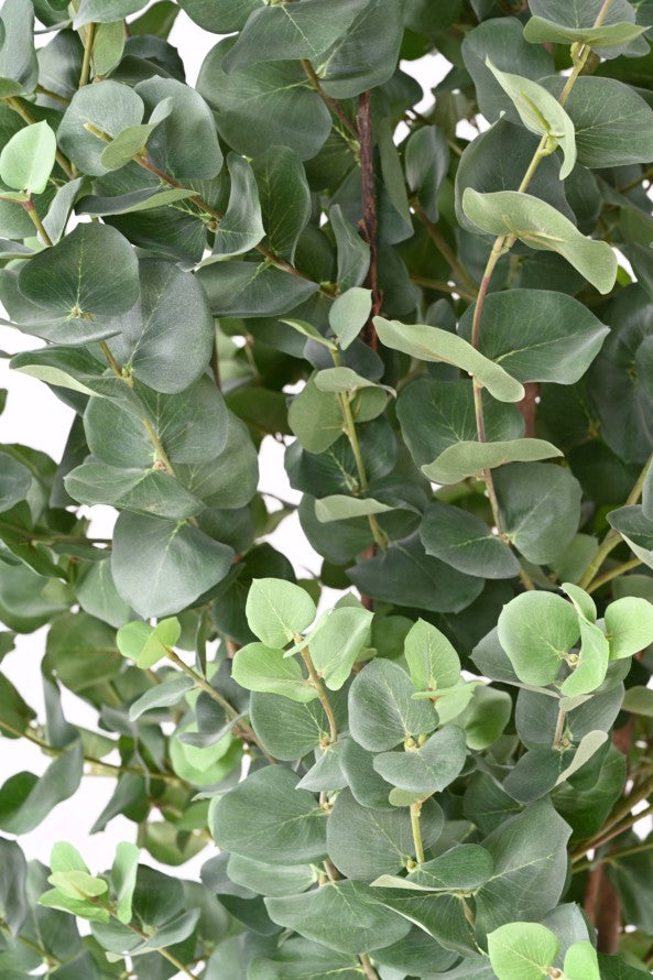 Eucalyptus artificiel gunnii buisson- Arbres et Arbustes