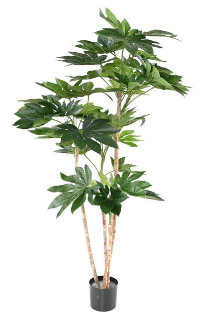 Fatsia artificiel japonica tree - Arbres et Arbustes - Green Fire 57