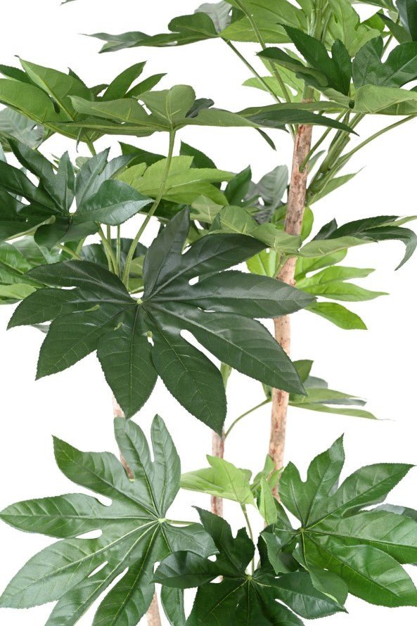 Fatsia artificiel japonica tree - Arbres et Arbustes - Green Fire 57