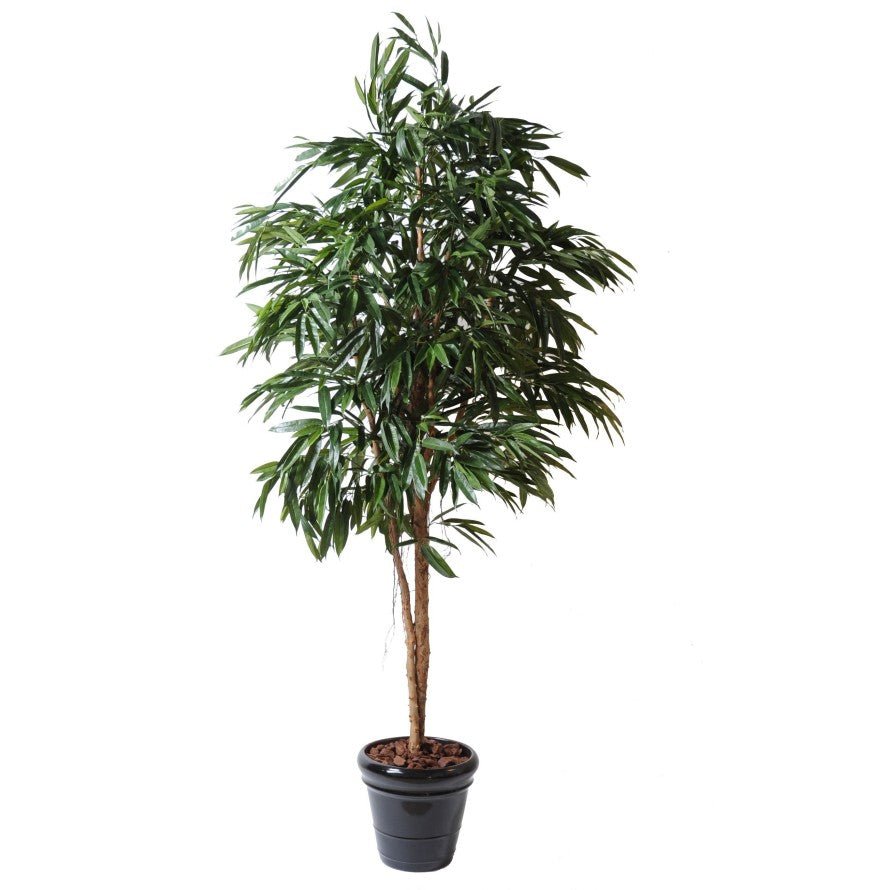 Ficus artificiel ALII ROYAL - Plantes Artificielles - Green Fire 57