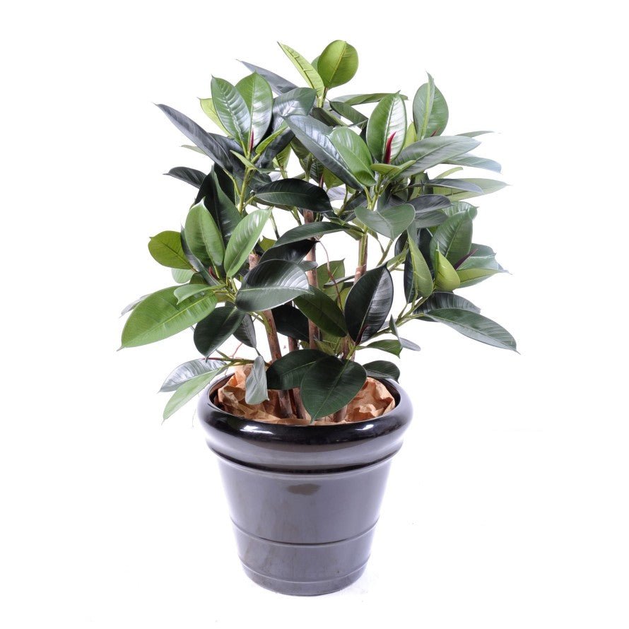 Ficus artificiel BUISSON - Plantes artificielles - Green Fire 57