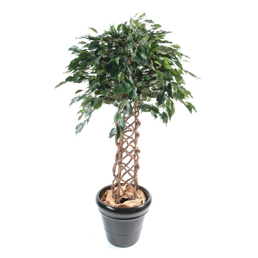 Ficus artificiel CAGE - Plantes Artificielles - Green Fire 57