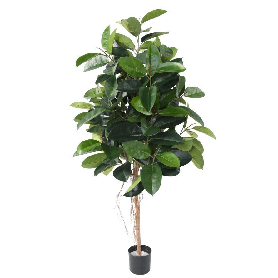 Ficus artificiel ELASTICA - Plantes artificielles - Green Fire 57