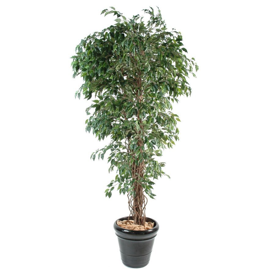 Ficus artificiel lianes - Plantes artificielles - Green Fire 57