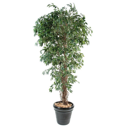 Ficus artificiel lianes - Plantes artificielles - Green Fire 57