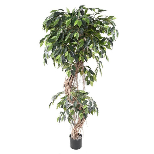 Ficus artificiel S - Plantes artificielles - Green Fire 57